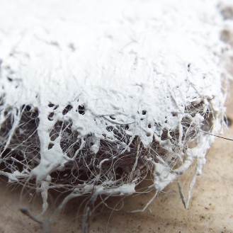 Plaster over a hairy wool